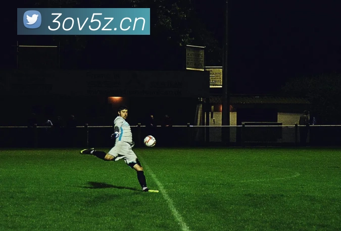 乐球直播app官方下载安装9.3版本服务体系